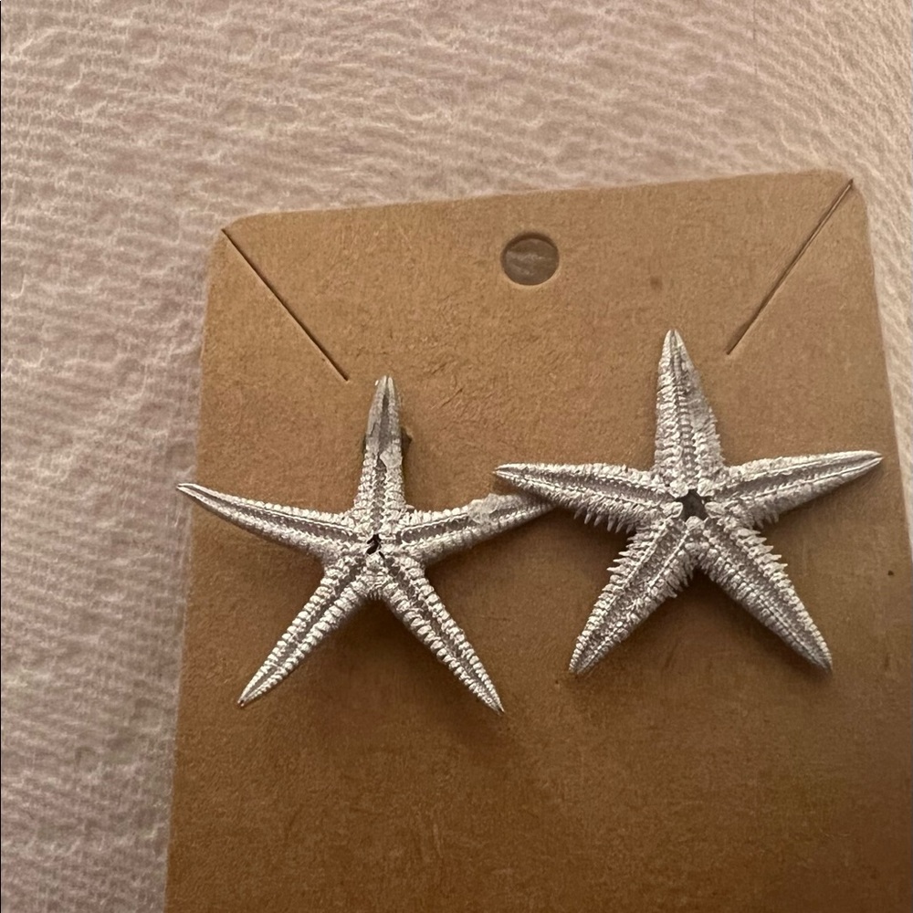 Silver dipped starfish earrings, amazing find!